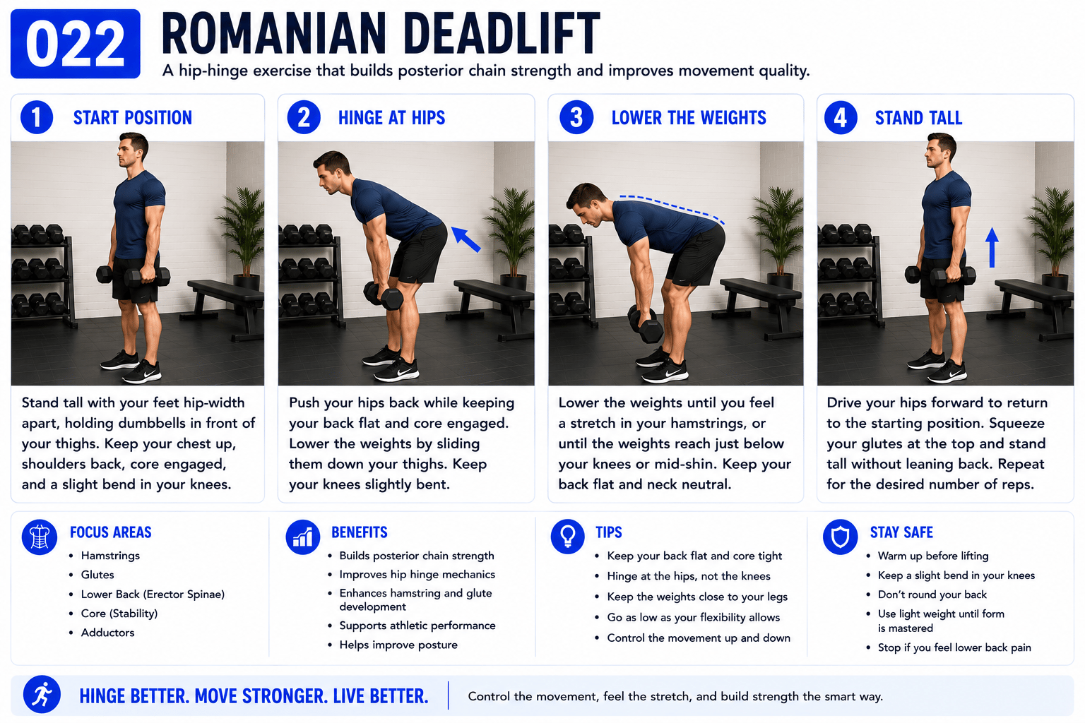 Romanian Deadlift exercise guide