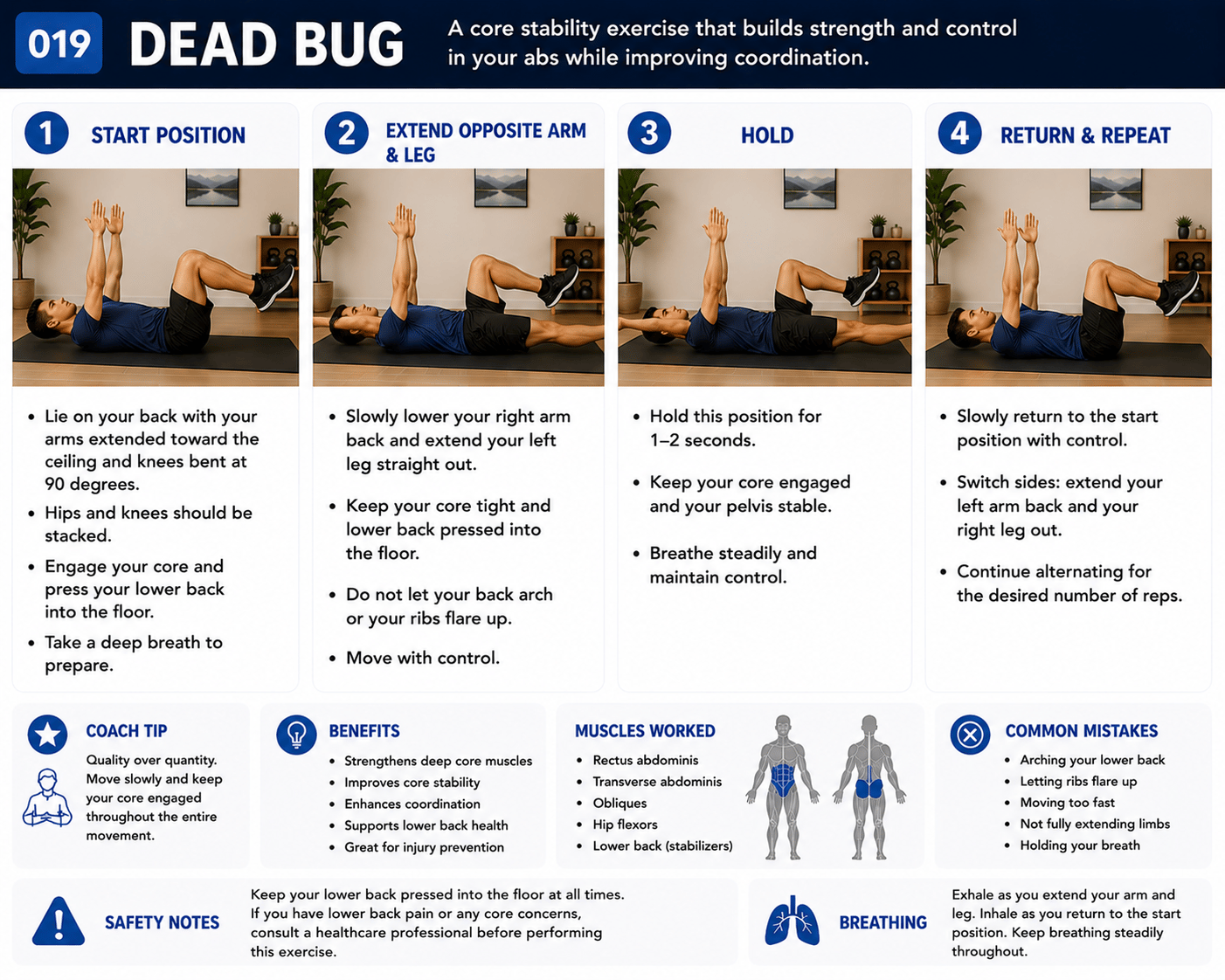 Dead Bug exercise guide